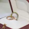 Duurzame kleur zilver ineengeschakelde ringen | D-Carats.